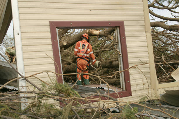 Best Tree and Shrub Care  in Palmer, AK